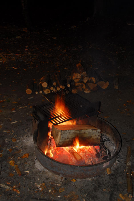 camp fire, firewood