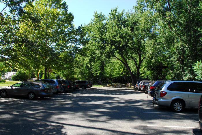 cars, parking lot, trees