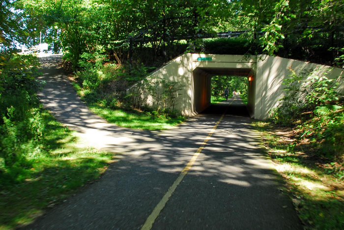 bike path, bridge, grass, trees