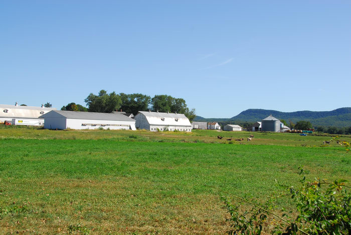 blue sky, farm, field, grass