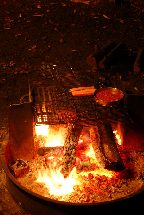 campfire, cooking, fire, fire ring