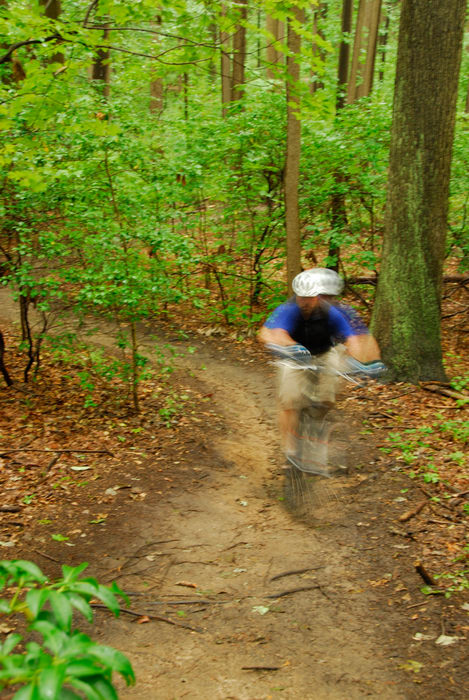 blurry, mountain biking, path, tail, trees, woods