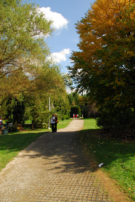 blue sky, fall colors, grass, people, trees, walkway