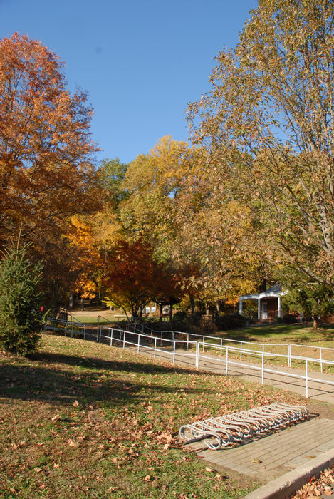 blue sky, fall colors, grass, open areas, path, trees, walkway