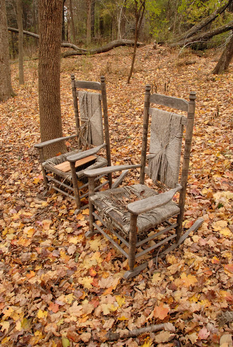 chair, leaves, trees