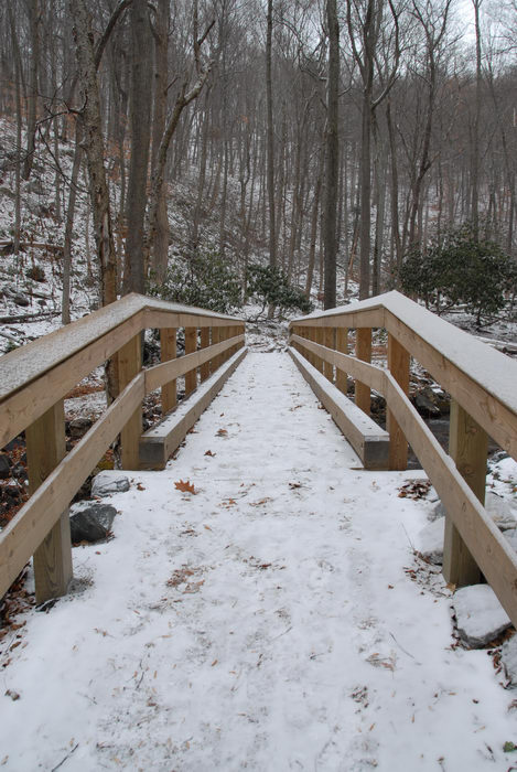 bridge, snow, trees