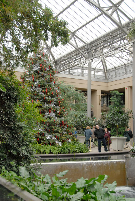 Christmas tree, conservatory, gardens, greenhouse, people, waterfall