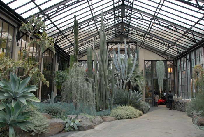 cacti, conservatory, gardens, greenhouse, path, walkway