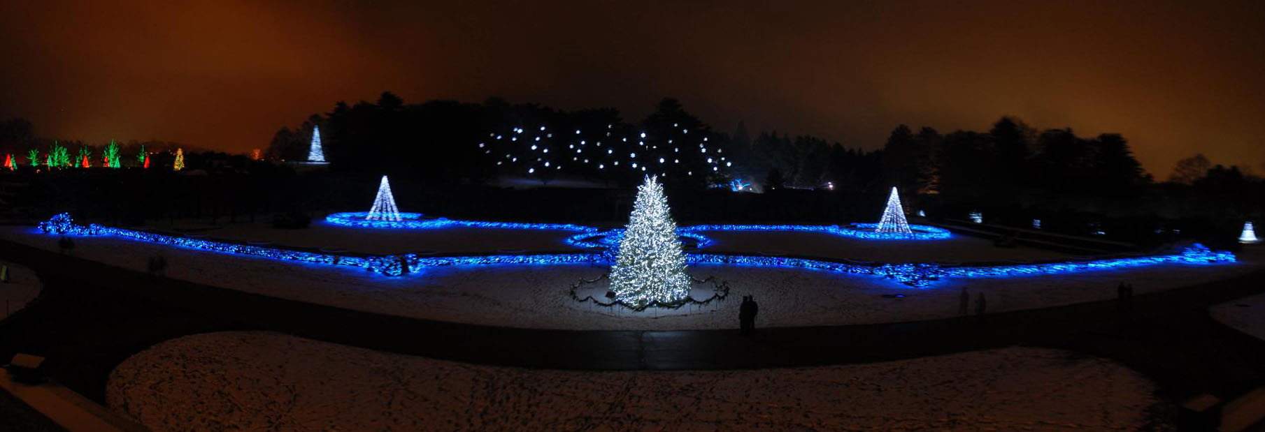 Christmas tree, lights, nighttime, ornament, panoramic, path, snow, trees, walkway