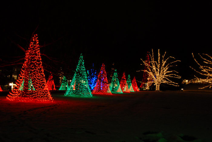 lights, nighttime, ornament, trees