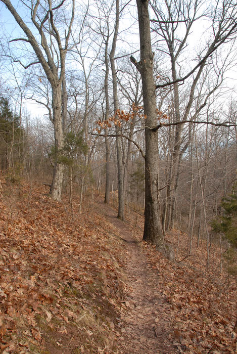 hill, path, trail, trees, woods