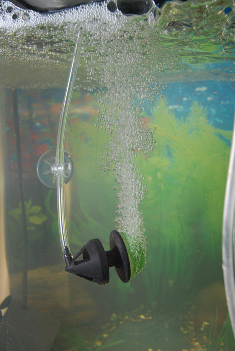 bubble stone, bubbles, fish tank, tube, water