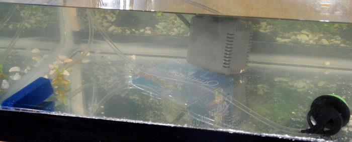 airline holder, fish tank, tube, water