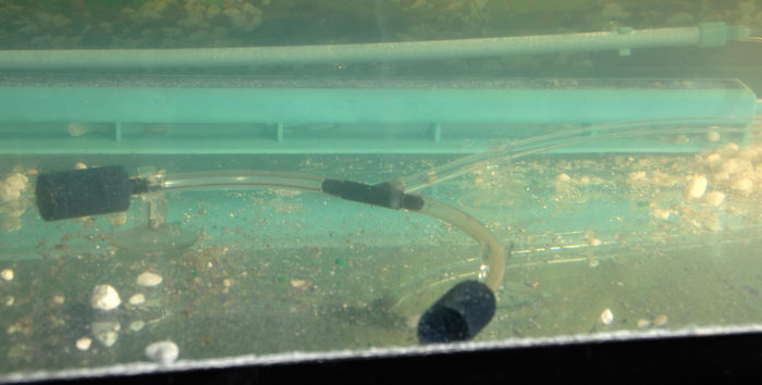 airline holder, bubble stone, fish tank, suction cup, tube, water