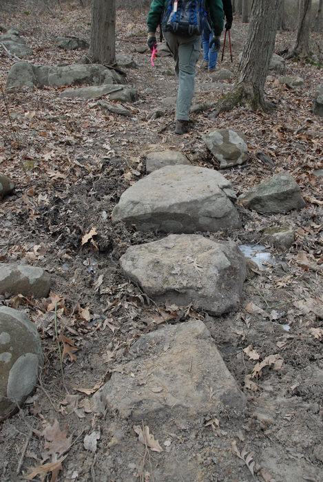 rock crossing, rocks, trail, trail maintenance, woods