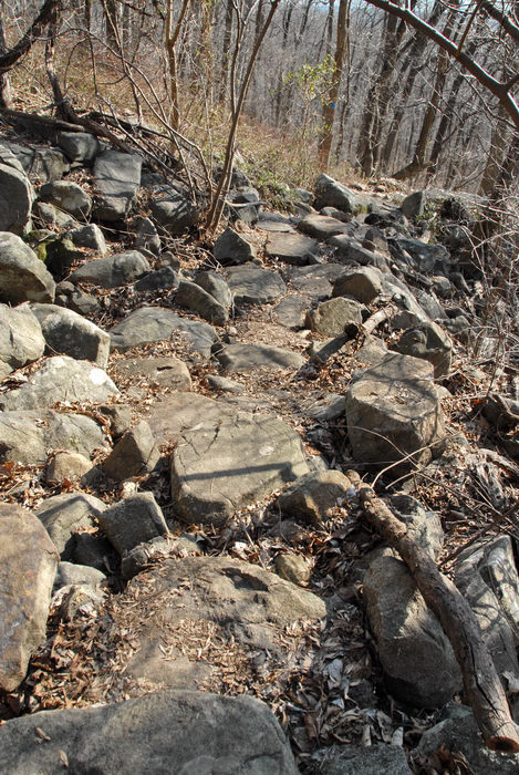 rock staircase, rocks, trail, woods