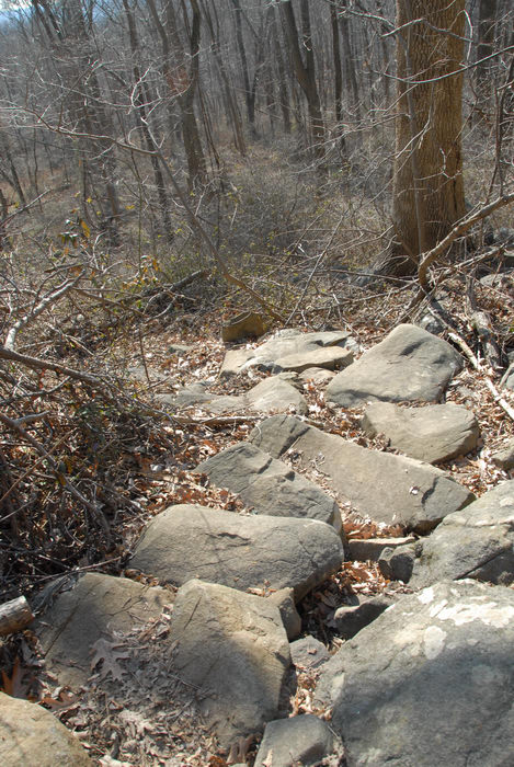 rock staircase, rocks, trail, woods