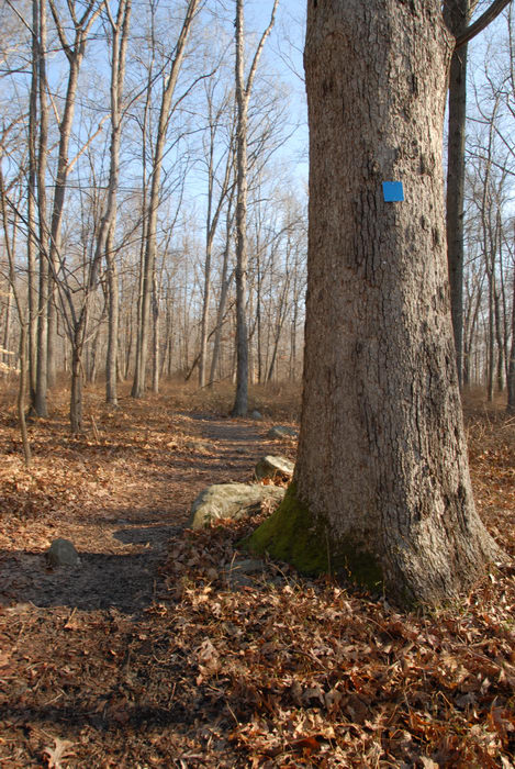 trail marker, woods