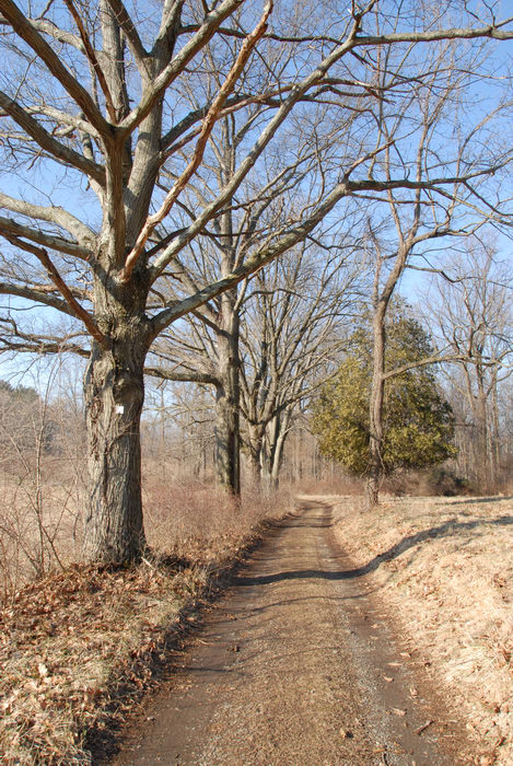 road, trail marker, trees