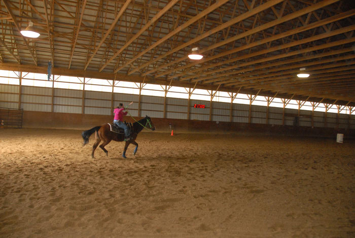 Danielle, arena, horse