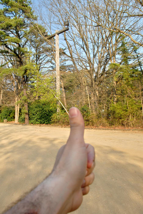 Thumbs across America, parking, trees