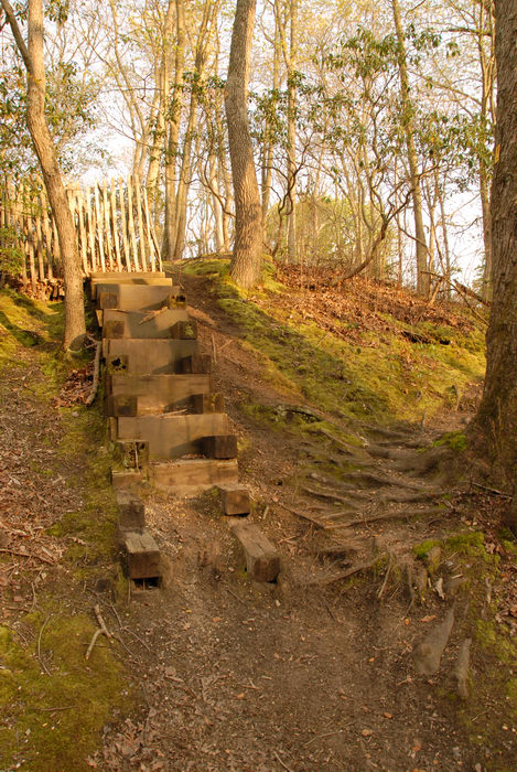 stairs, trees, woods
