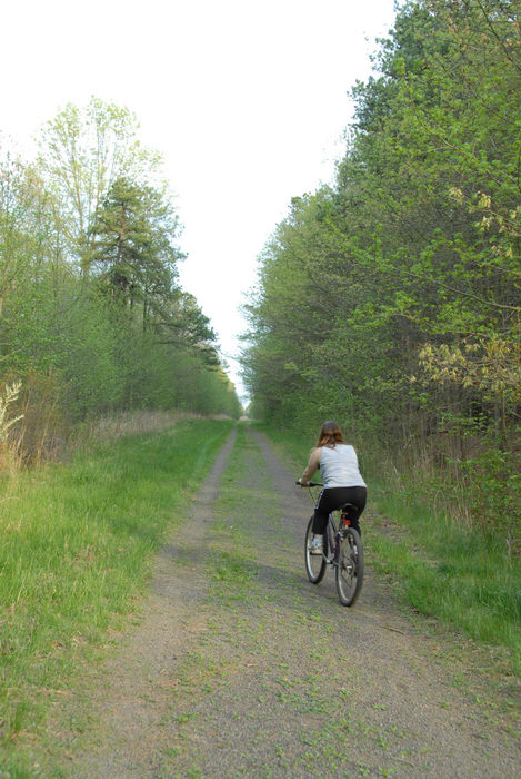 Jackie, bike, dirt road, mountain bike, path, trail, trees, woods