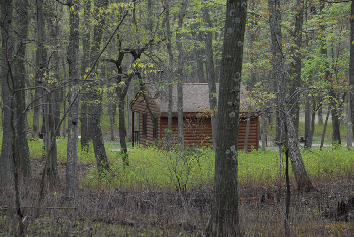cabin, camping, trees, woods