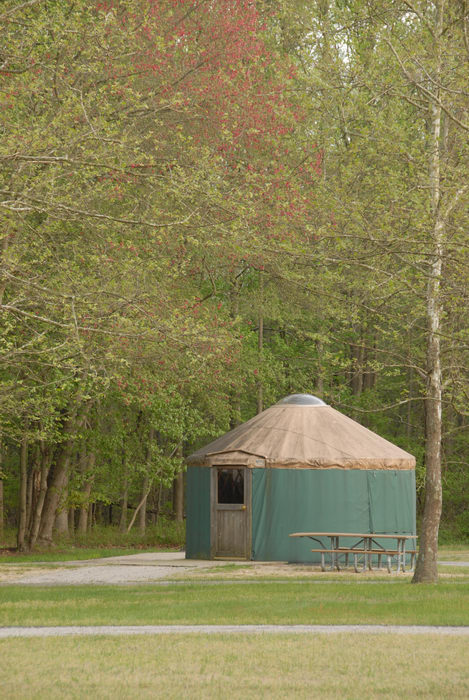 camping, paved, road, trees, woods, yurt