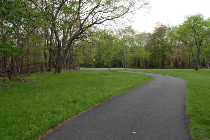 paved, trail, trees, woods