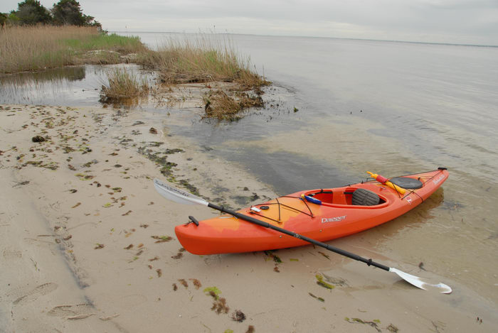 Barnegat Bay, Dagger Blackwater 11.5, beach, kayak, reeds, sand, water
