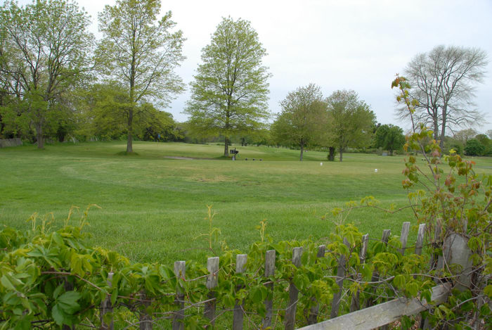 fence, golf course, grass, trees