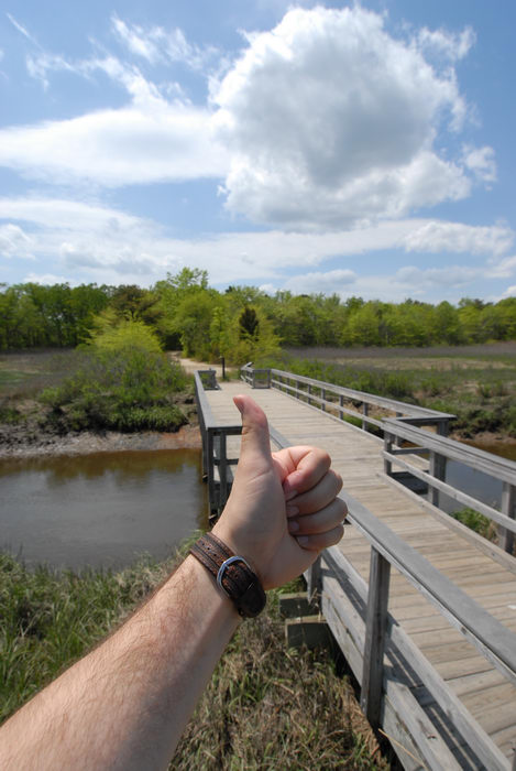 Thumbs across America, blue sky, boardwalk, bridge, grass, marsh, river, trees, water