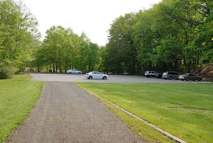 grass, parking, trees