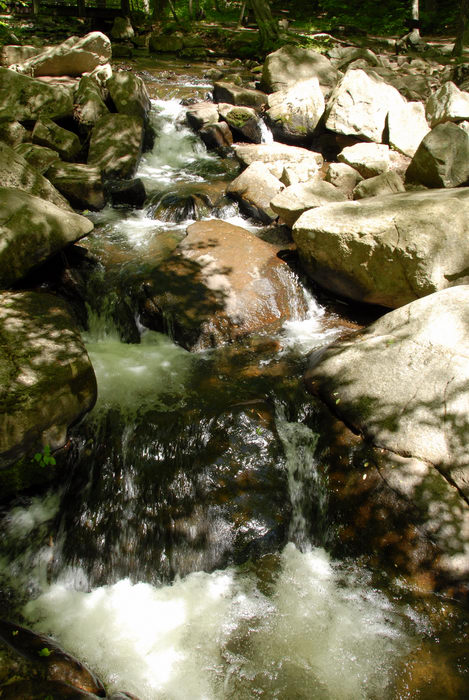 Trout Brook, brook, moving water, rocks, stream, water, waterfall