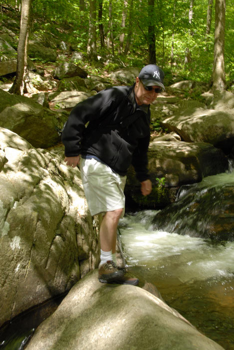 Rob, Trout Brook, brook, moving water, rocks, stream, trees, water, waterfall, woods