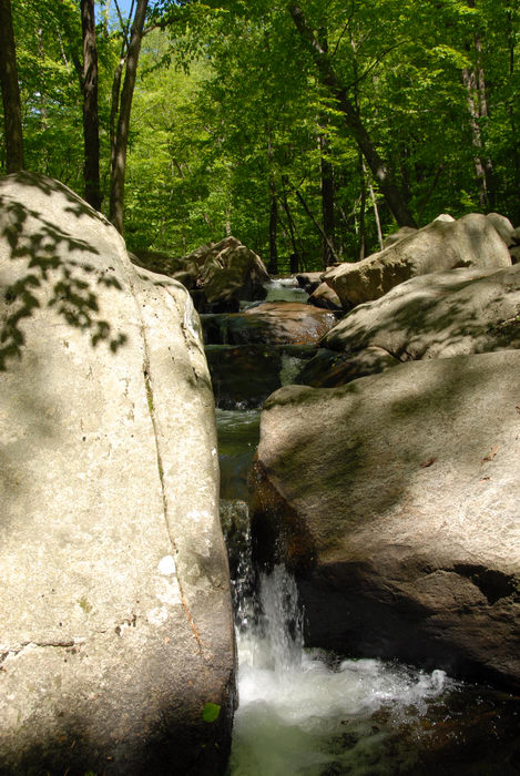 Trout Brook, brook, moving water, rocks, stream, trees, water, waterfall, woods