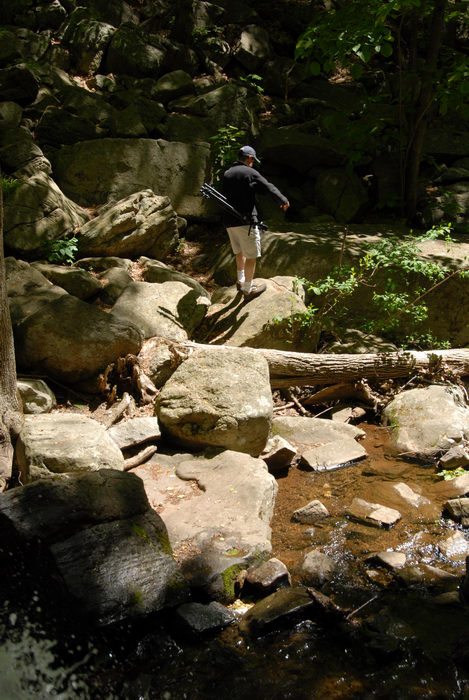 Trout Brook, brook, moving water, rocks, stream, water, woods