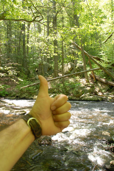 Thumbs across America, black river, moving water, river, trees, water, woods