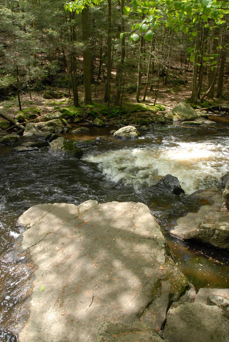 black river, moving water, river, rocks, trees, water, woods