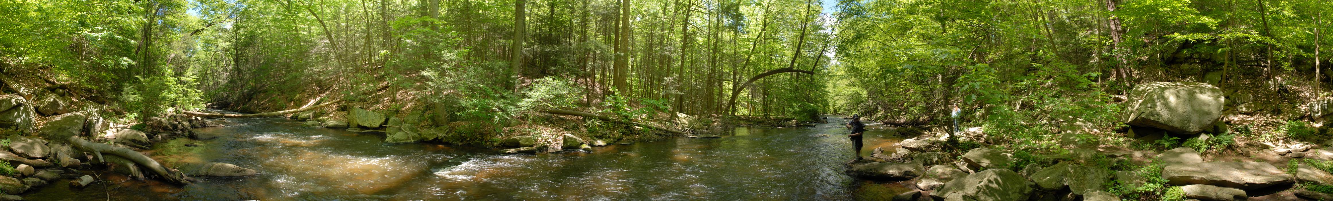black river, moving water, panoramic, river, trees, water, woods