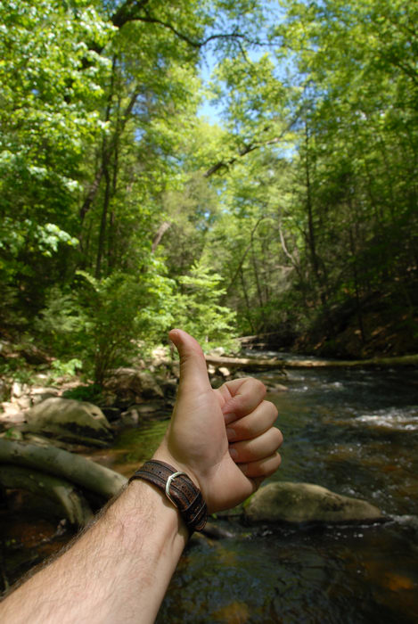 Thumbs across America, black river, moving water, river, rocks, trees, water, woods