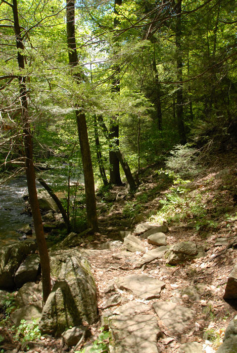 black river, moving water, path, rocks, trail, trees, water, woods
