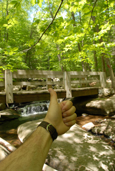 Rinehart Brook, Thumbs across America, brook, moving water, rocks, stream, trees, water, waterfall, woods