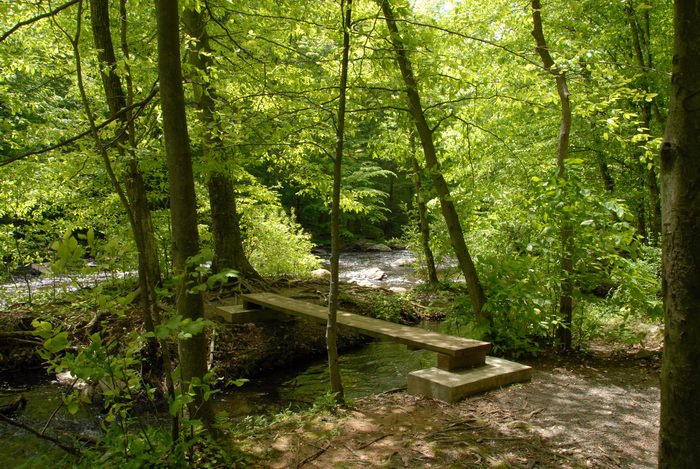 black river, bridge, ground cover, moving water, trees, water, woods