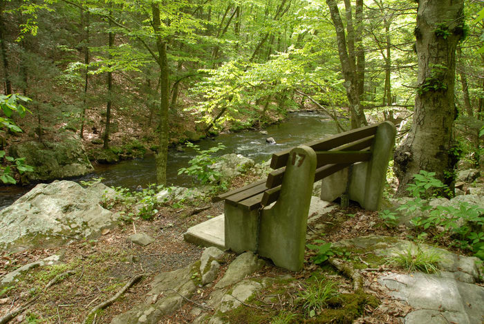bench, black river, ground cover, moving water, path, river, rocks, trail, trees, water, woods