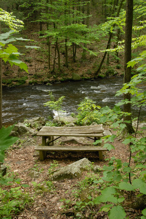 black river, ground cover, moving water, picnic bench, rapids, river, rocks, trees, water, woods
