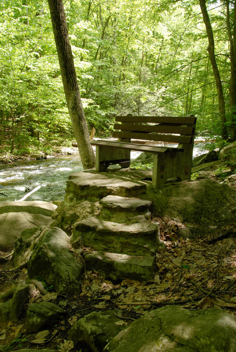 bench, black river, moving water, rapids, river, rocks, steps, trees, water, woods