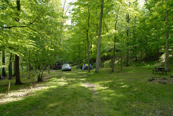 campsites, car, grass, picnic table
