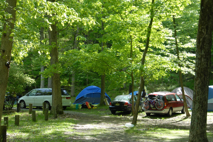 campsites, cars, grass, tents, trees